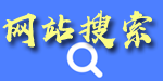 网站搜索